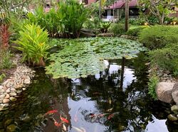 Eastern Lagoon (D15), Condominium #614161651